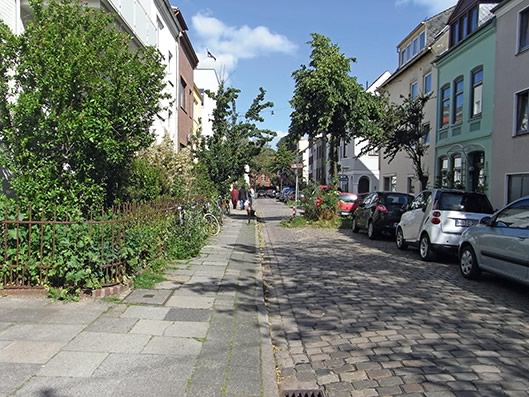 photo 4_7_arbre_dans_la_rue_on_passe_pied_ou_velo
